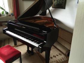 ขายเปียโนมือสองนำเข้าจากยุโรปยี่ห้อ Used sauter Grand Piano 158