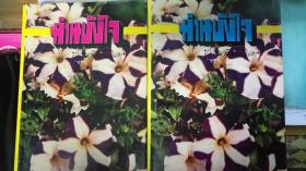 นวนิยาย/ม่านบังใจ