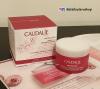 Caudalie Vinosource S.O.S Intense Moisturizing Cr