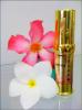 Beauty Secret Botox Serum