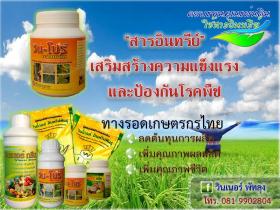 ขาย Win Pro Nanoplus -