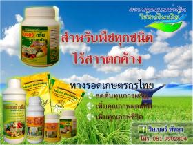 ขาย Winner Green Nanoplus -