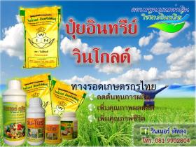 ขาย Wingold -