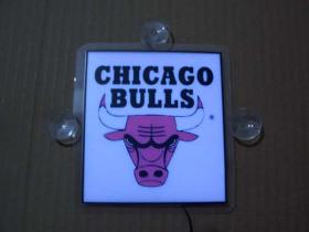 ขาย Chicago bull TS049