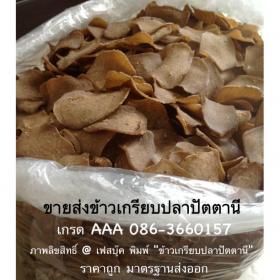 ขายส่งข้าวเกรียบปลา ข้าวเกรียบปลาหลังเขียว ข้าวเกรียบปลาปัตตานี เกรด AAA ราคาถูก แผ่นดิบ คุณภาพสูง มาตราฐานส่งออก ขายส่งข้าวเกรียบปลาหลังเขียวทั่วประเทศ