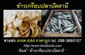 ขายส่งข้าวเกรียบปลา ข้าวเกรียบปลาหลังเขียว ข้าวเกรียบปลาปัตตานี เกรดAAA ราคาถูก
