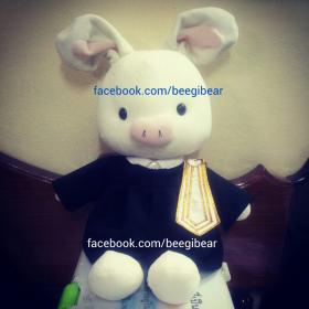 ขาย Academic Gown -