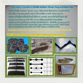 ยางกันซึม รับเบอร์วอเตอร์สต๊อป  RUBBER WATER STOP