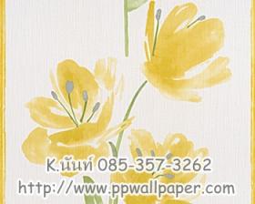 ขาย PPWALL Esprit012