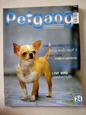 นิตยสาร Petgang ฉบับที่ 12 เดือนกุมภาพันธ์ 2547