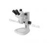 Stereo Microscope -
