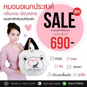 หมอนอเนกประสงค์