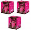 Starwell Cocoa Abalone สตาร์เวลล์ โกโก้ อะบาโลน