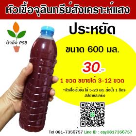 จุลินทรีย์สังเคราะห์แสง พืชโตเร็ว แข็งแรง ไร้สารเคมี 600cc