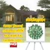 ภาพพิมพ์แคนวาสใบไม้ 40 x 40 ซ.ม.