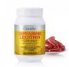 Lecithin giffarine 60 แคปซูล กิฟฟารีน เลซิติน