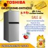 TOSHIBA GR-RT252WE-DMTH(SS) 