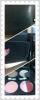 Victoria Jackson 24/7 Makeover Portfolio สีเอรฺ์ธ โ?นสีน้