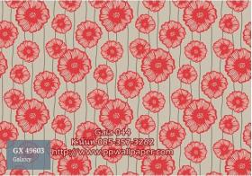 PPWALL-GALA044