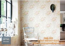 PPWALL-GALA036