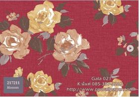 PPWALL-GALA021