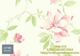 PPWALL-GALA016