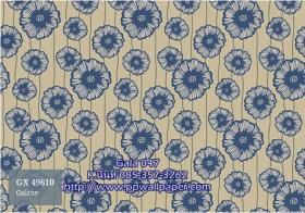PPWALL-GALA047