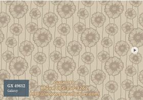 PPWALL-GALA048
