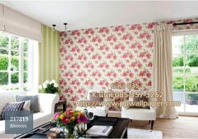 PPWALL-GALA035