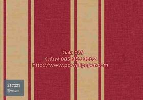 PPWALL-GALA026