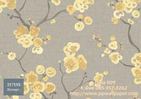 PPWALL-GALA009