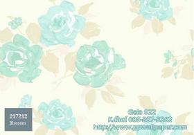 PPWALL-GALA022