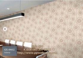 PPWALL-GALA038