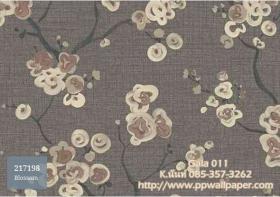 PPWALL-GALA011