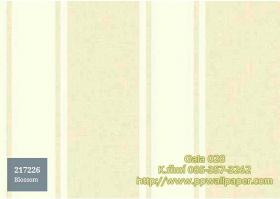 PPWALL-GALA028