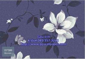 PPWALL-GALA019