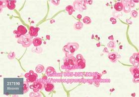PPWALL-GALA006