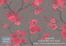 PPWALL-GALA007