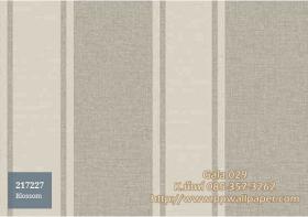 PPWALL-GALA029