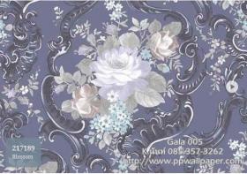PPWALL-GALA005