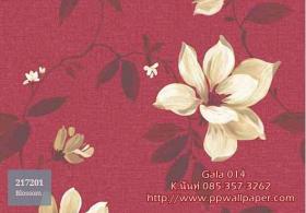 PPWALL-GALA014