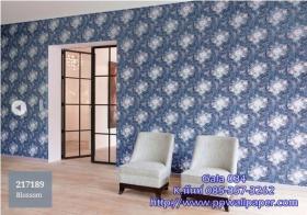 PPWALL-GALA034