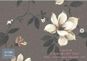 PPWALL-GALA018