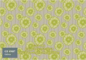 PPWALL-GALA046