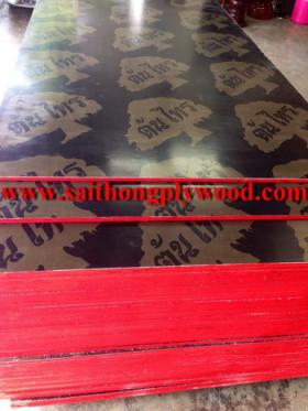 ขาย Black film faced plywood Tonsai ต้นไทร