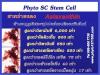 Phyto SC Stem Cell -