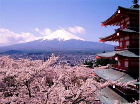 SHI - A - WA - SE WINTER TOKYO (NARITA) 5 DAYS 3 NIGHTS BY TG   (S2) 