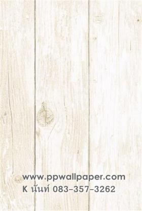 ขาย PPWALL JW 2 024