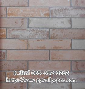 ขาย PPWALL Pegasua 018