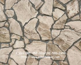 ขาย PPWALL WOOD STONE 060